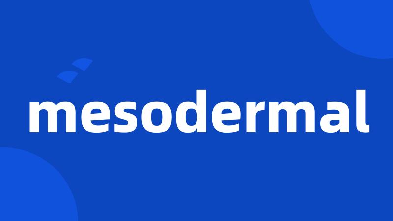 mesodermal