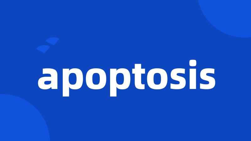 apoptosis