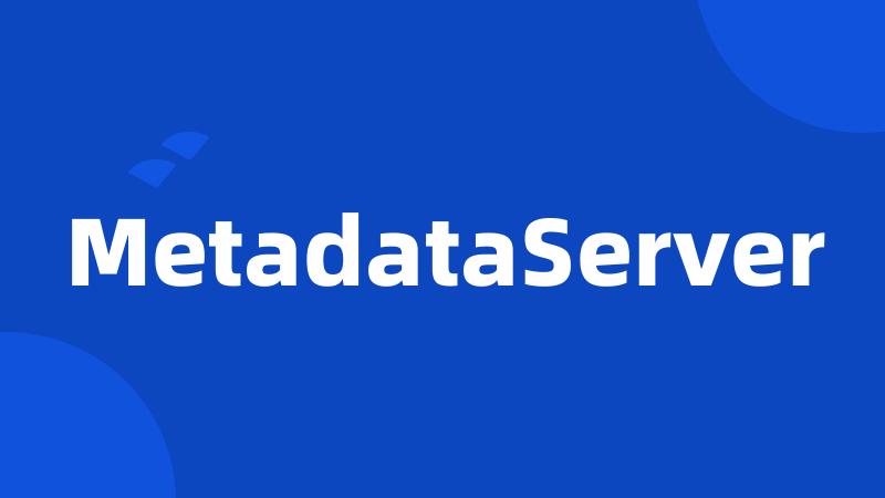 MetadataServer