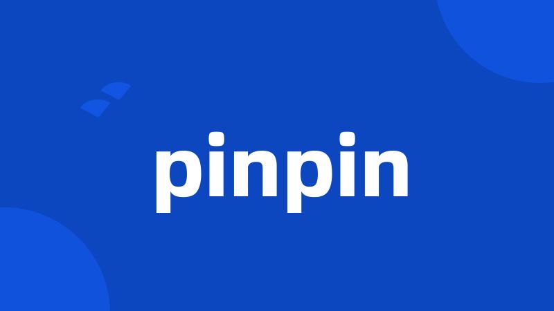 pinpin