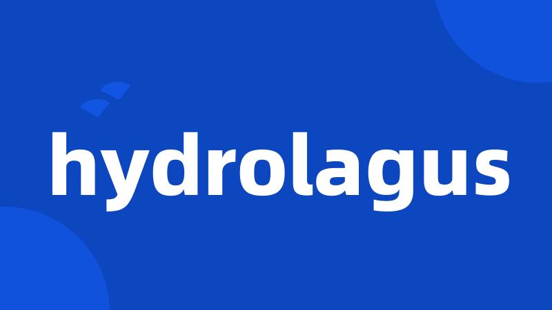 hydrolagus