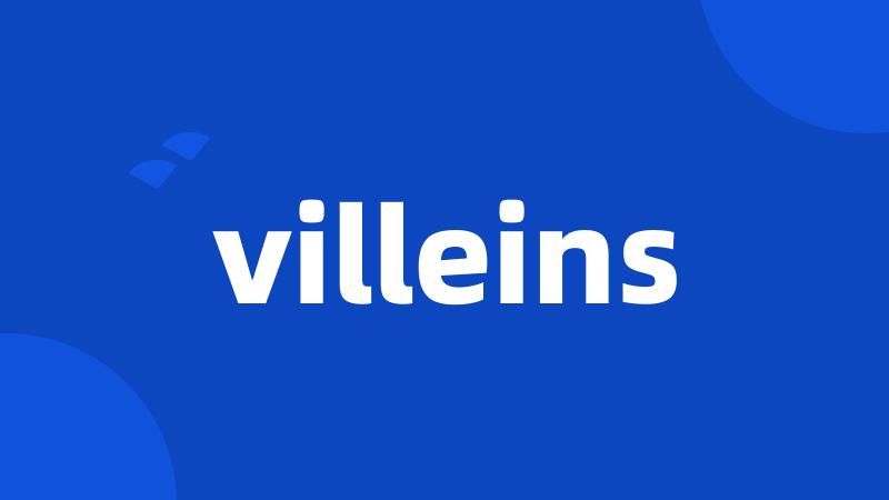 villeins