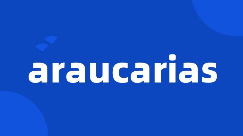 araucarias