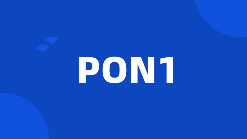 PON1