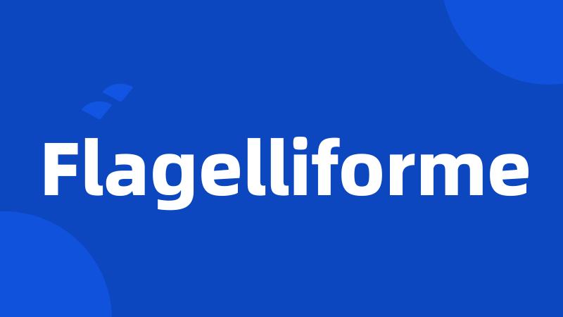 Flagelliforme