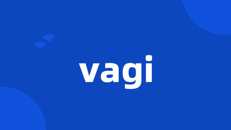 vagi