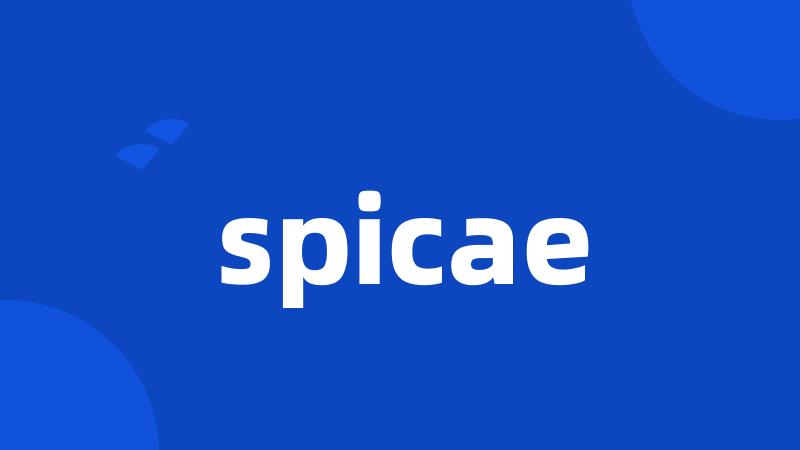 spicae