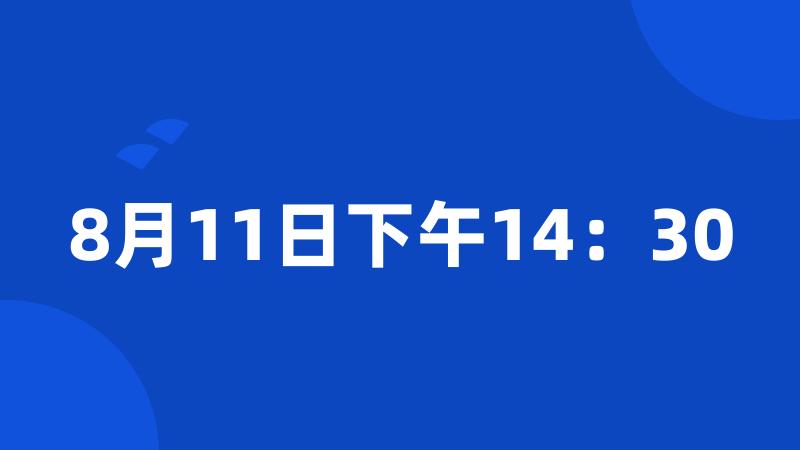 8月11日下午14：30