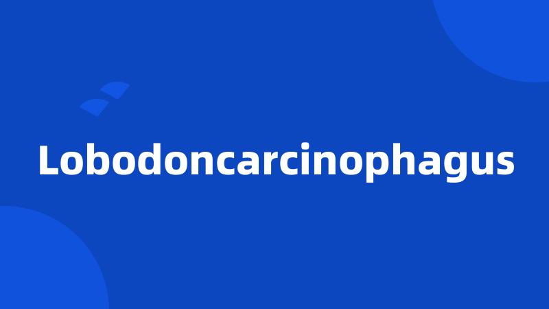 Lobodoncarcinophagus