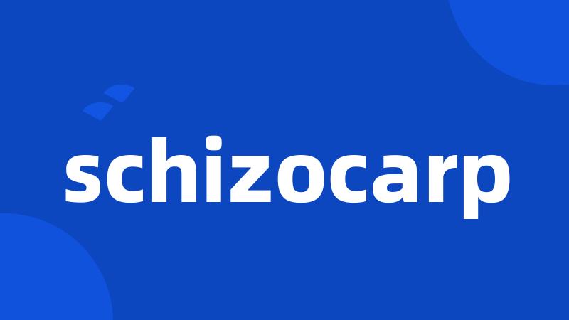 schizocarp