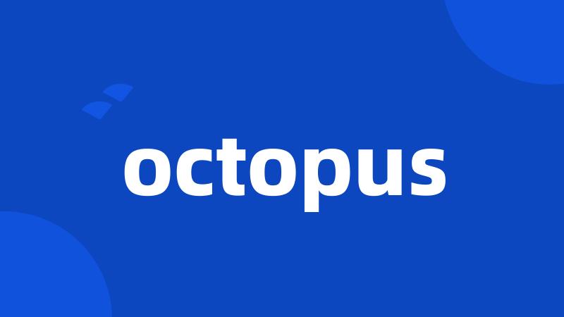 octopus