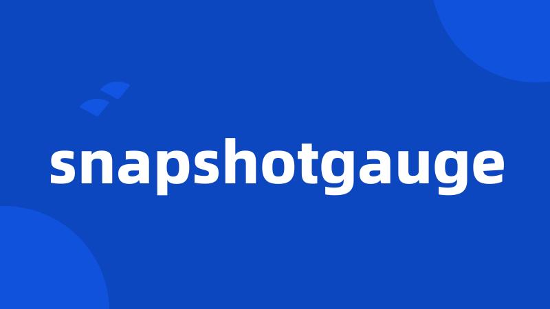 snapshotgauge