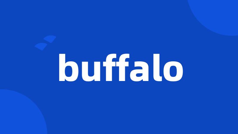 buffalo