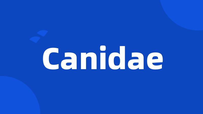 Canidae