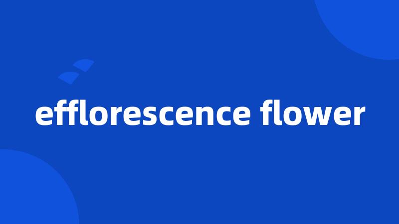 efflorescence flower