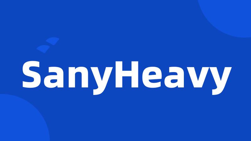 SanyHeavy