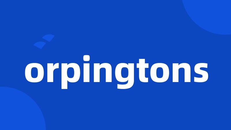 orpingtons