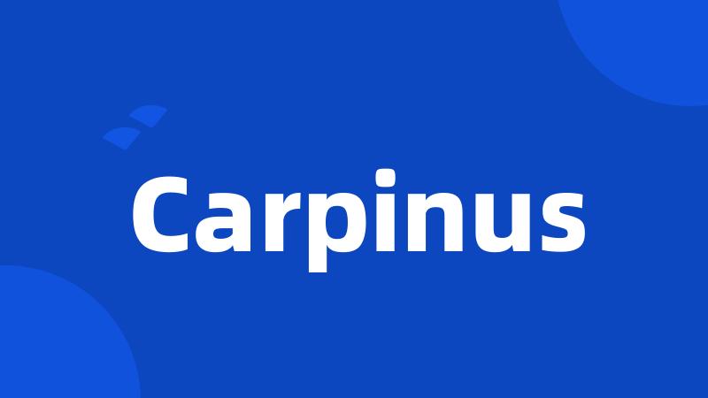 Carpinus