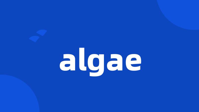 algae