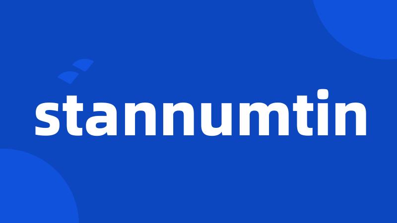 stannumtin