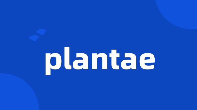 plantae