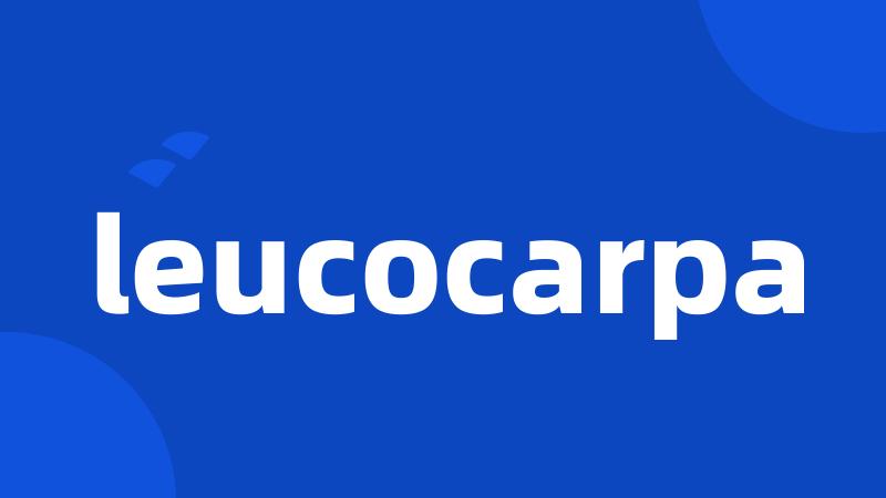 leucocarpa