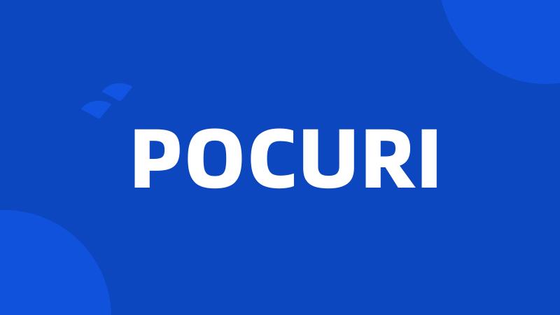 POCURI