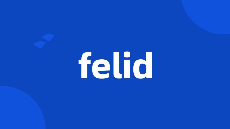 felid