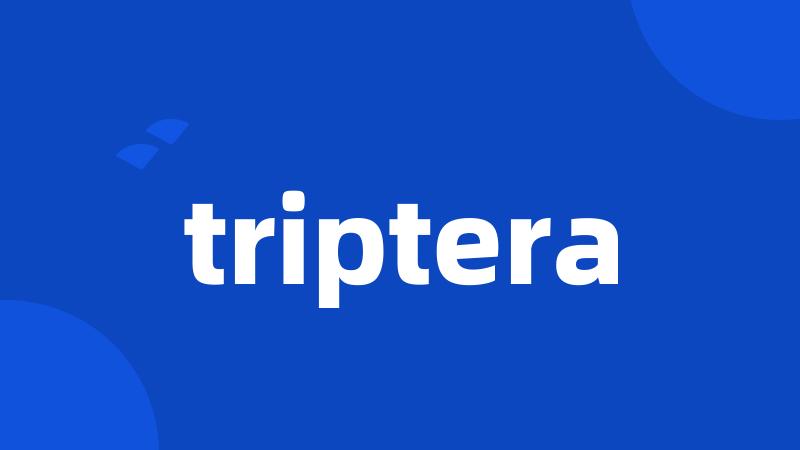 triptera