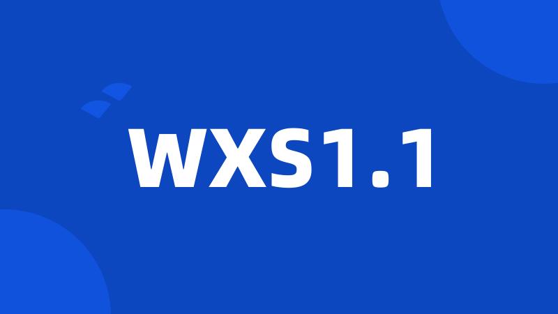 WXS1.1