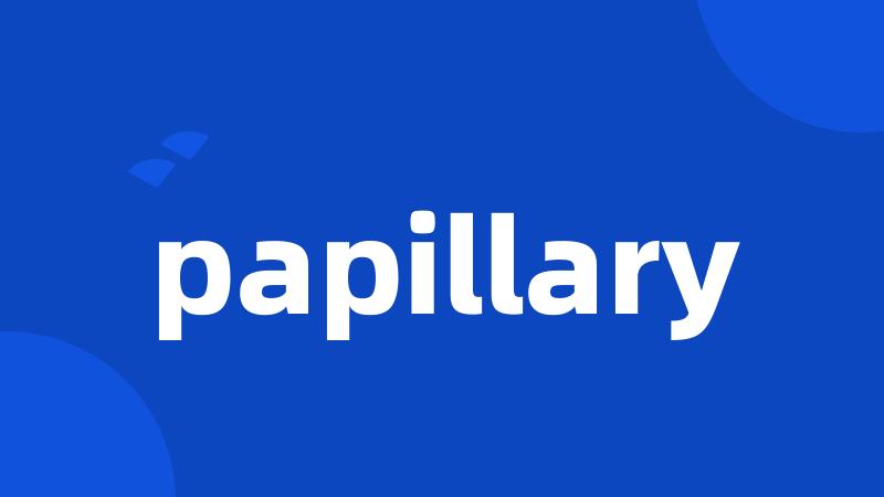 papillary