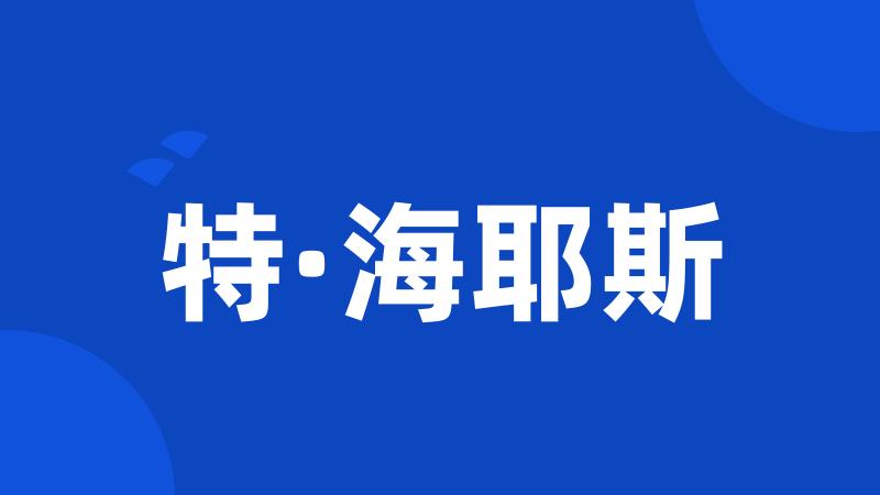 特·海耶斯