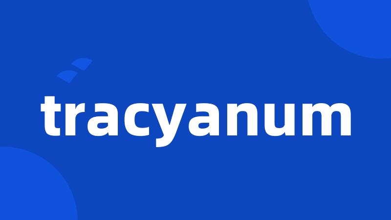 tracyanum