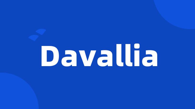 Davallia