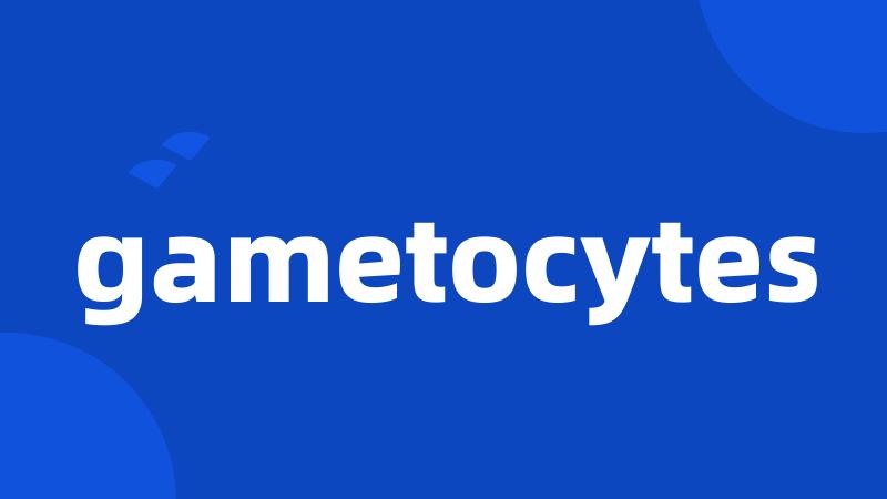 gametocytes