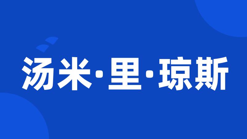 汤米·里·琼斯