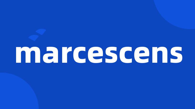 marcescens