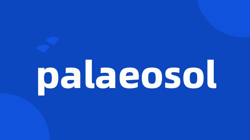 palaeosol