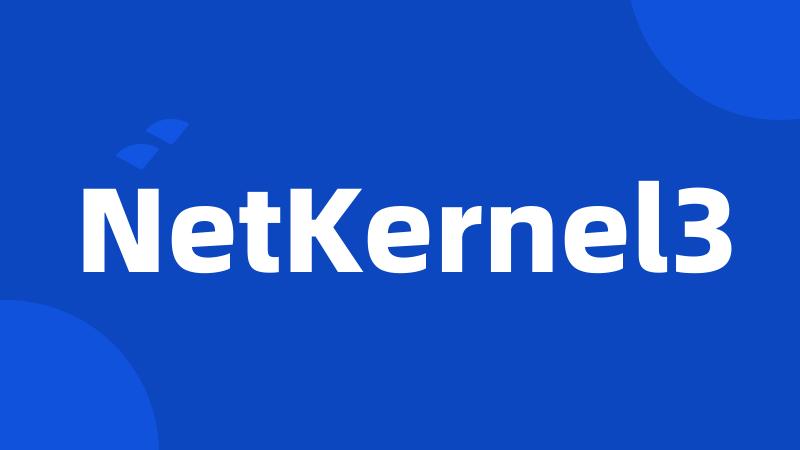 NetKernel3