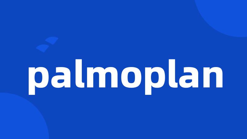 palmoplan