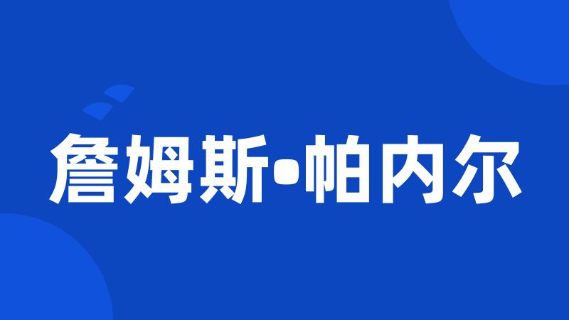 詹姆斯•帕内尔