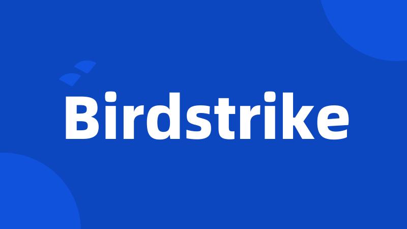 Birdstrike