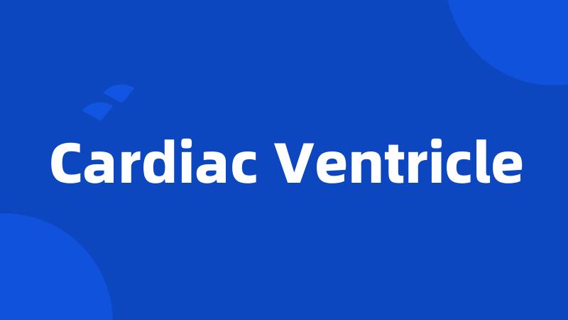 Cardiac Ventricle