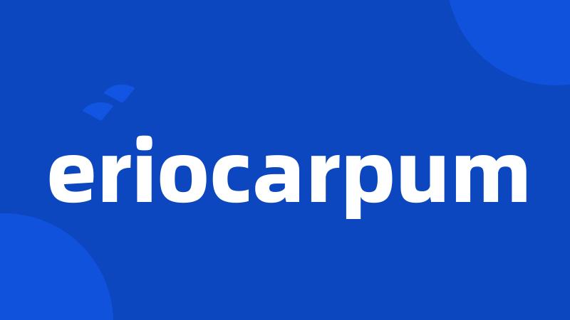 eriocarpum