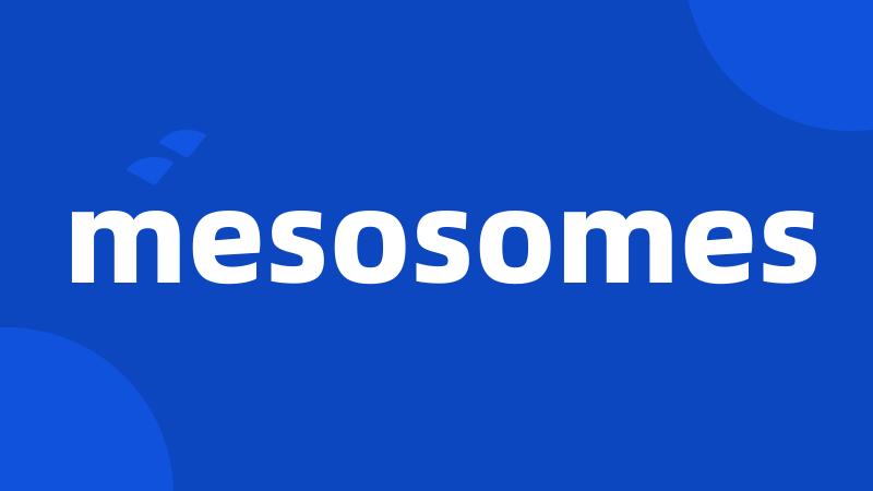 mesosomes