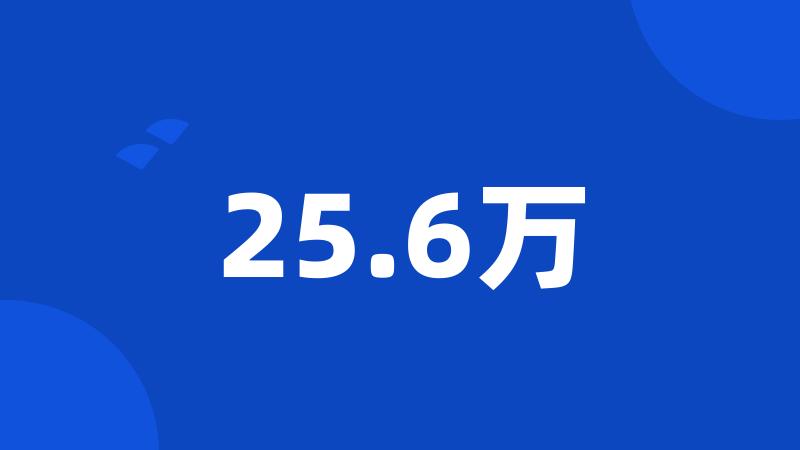 25.6万