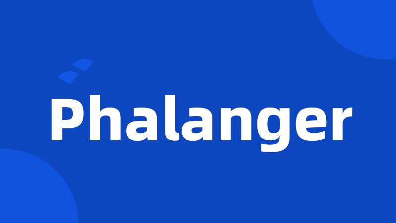 Phalanger