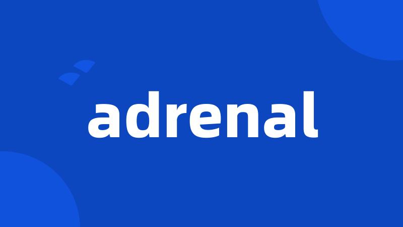 adrenal