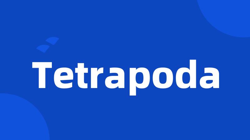 Tetrapoda