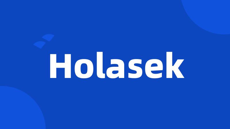 Holasek